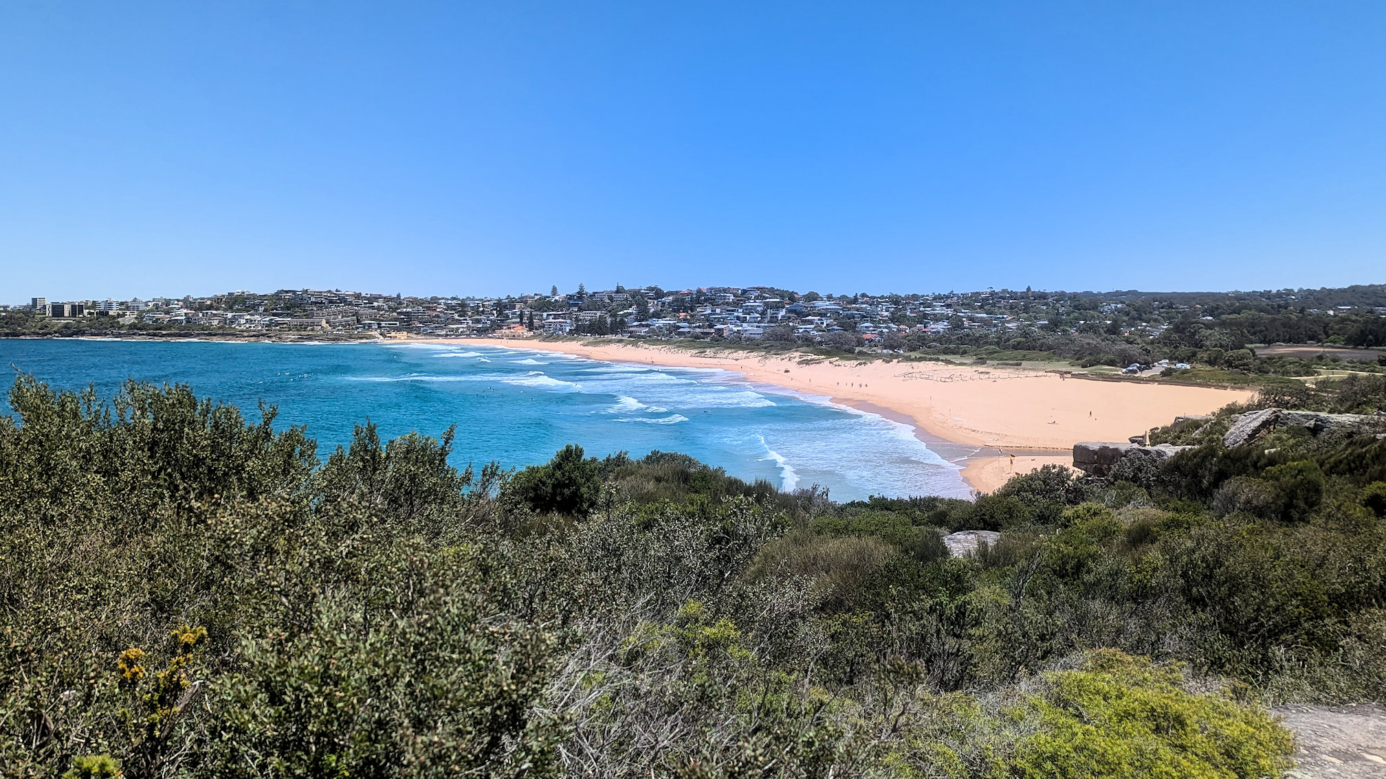 dy_curlcurl track (12)